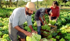 Agricultura Familiar